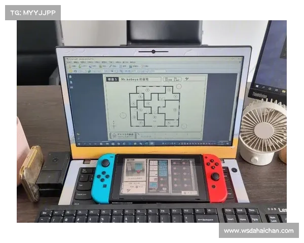 马多利卡不动产攻略6_马多利卡不动产攻略15：马多利卡6 攻略秘籍 畅游不动产王国